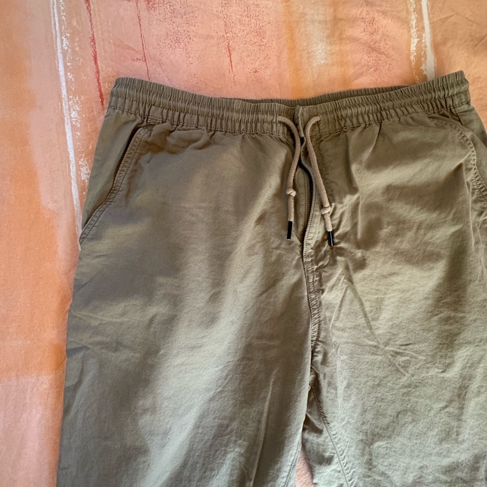 Patagonia Tan Chinos